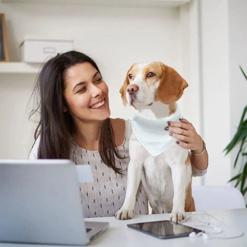 Blank white polyester dog scarf bandana for custom thermal transfer printing, shown in four sizes.