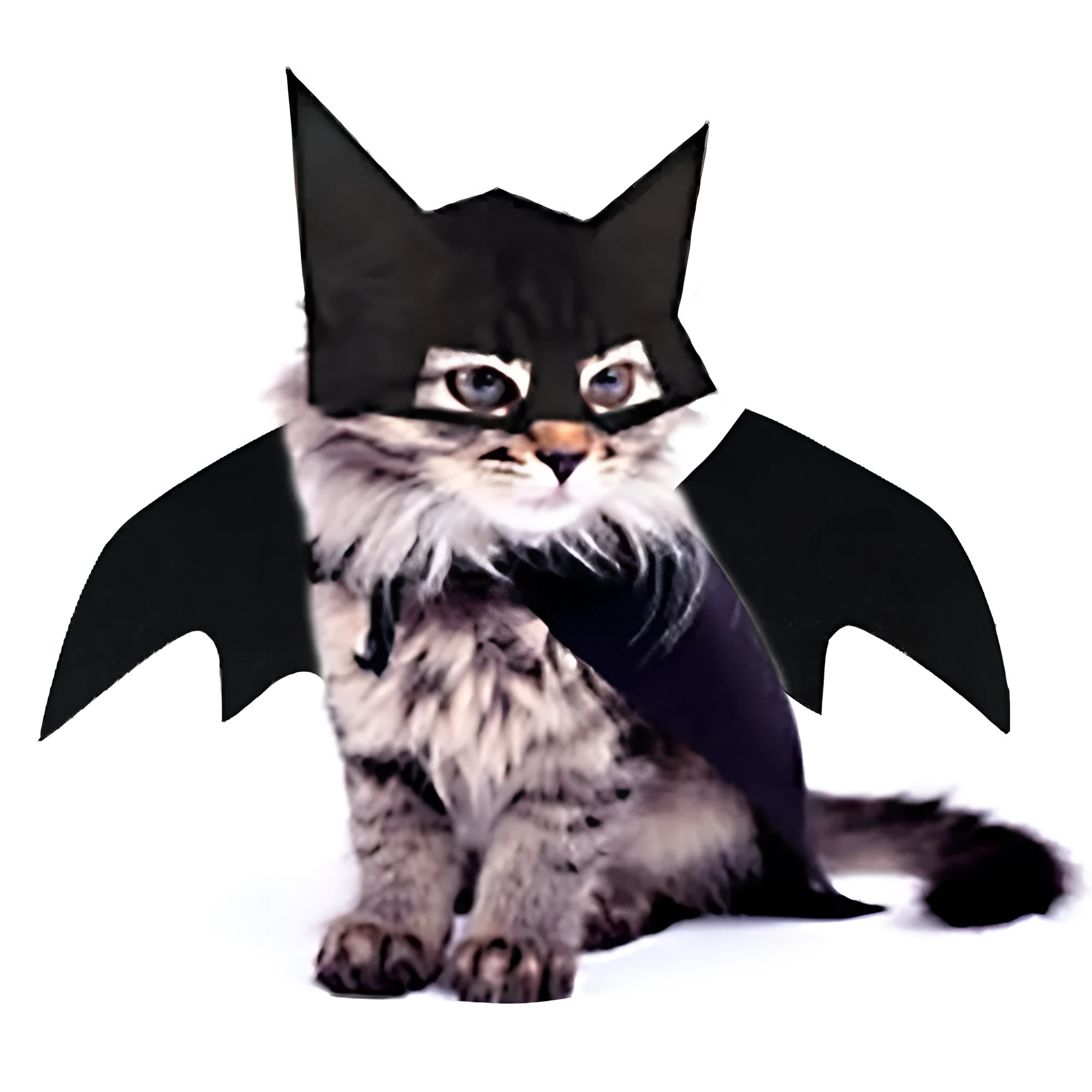 Halloween pet mask bat wings corset set in cloth fabric for dogs and cats, with adjustable neck and bat design