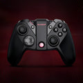 Black Gaishi wired video game controller with Type-C cable, analogue sticks, and face buttons on an ABS plastic body.