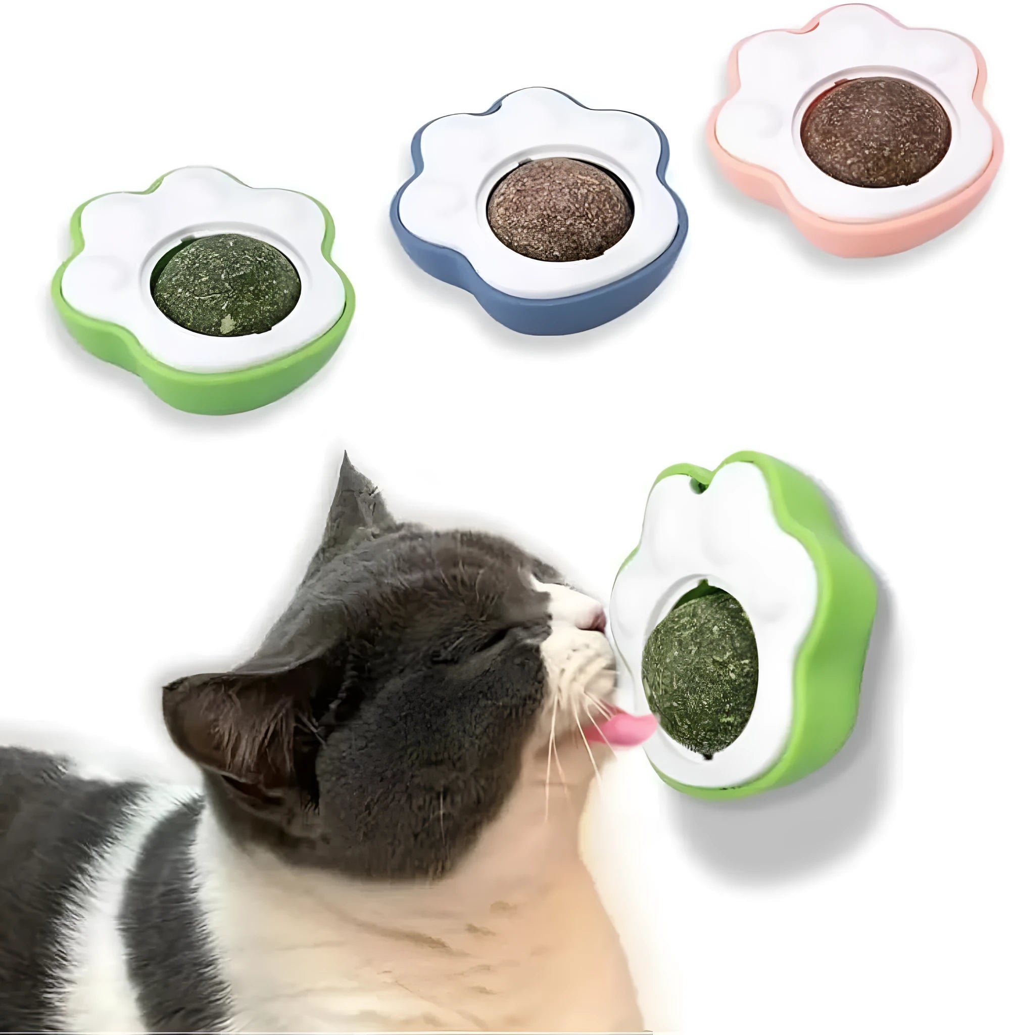 Edible catnip balls for cats in blue, green, pink colours for dental cleaning and wall mounting