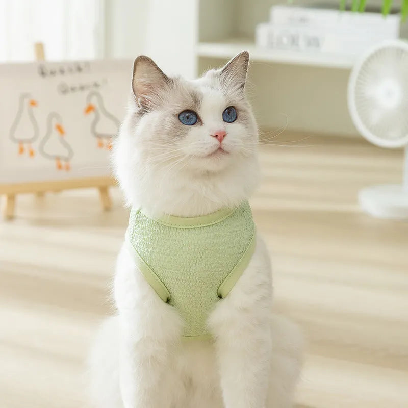 Green knitted cat clothing with a cartoon bear patch, showing hollowed-out breathable fabric.