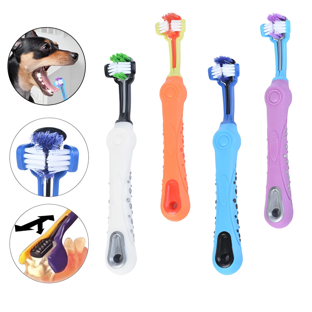 Three sided pet toothbrush with PP TPR handle and nylon bristles in green colour on white background