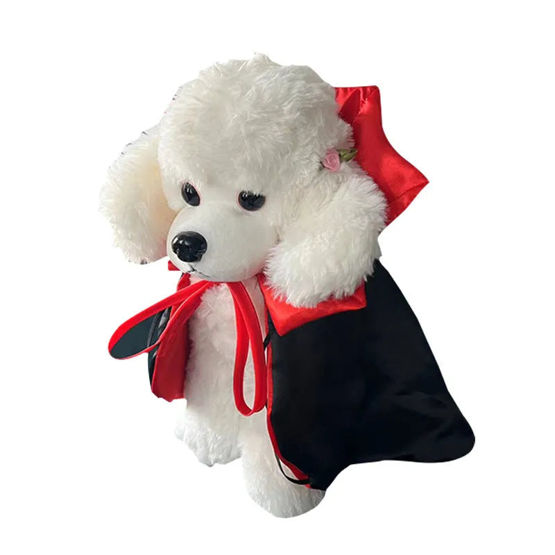 Halloween pet costume with bat-wing cloak and pointed hat on small dog