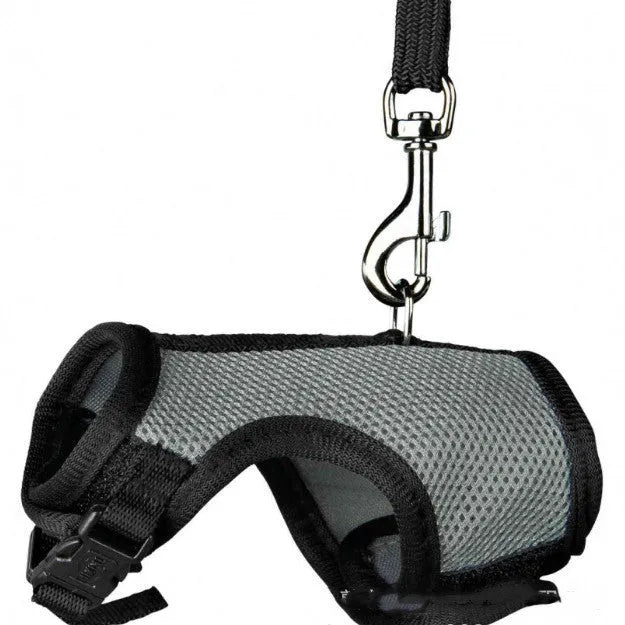 Small pet nylon harness leash adjustable in sizes S M L XL with six colour options