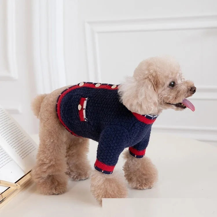 Blue Bejirog wool sweater cardigan for pets in classic princess style on mannequin
