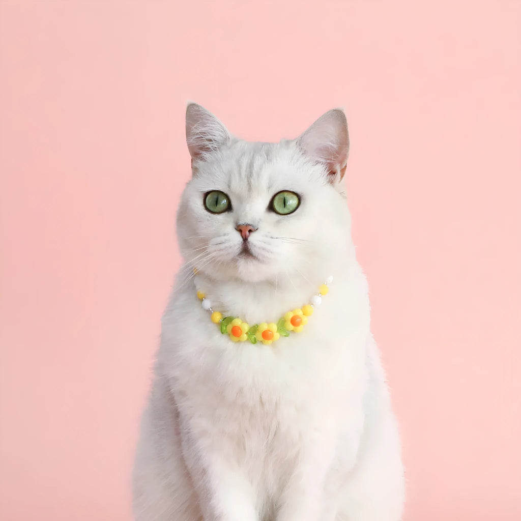 Colourful plastic bead pet necklace shown in peach, rainbow, and small flower patterns with an adjustable clasp.