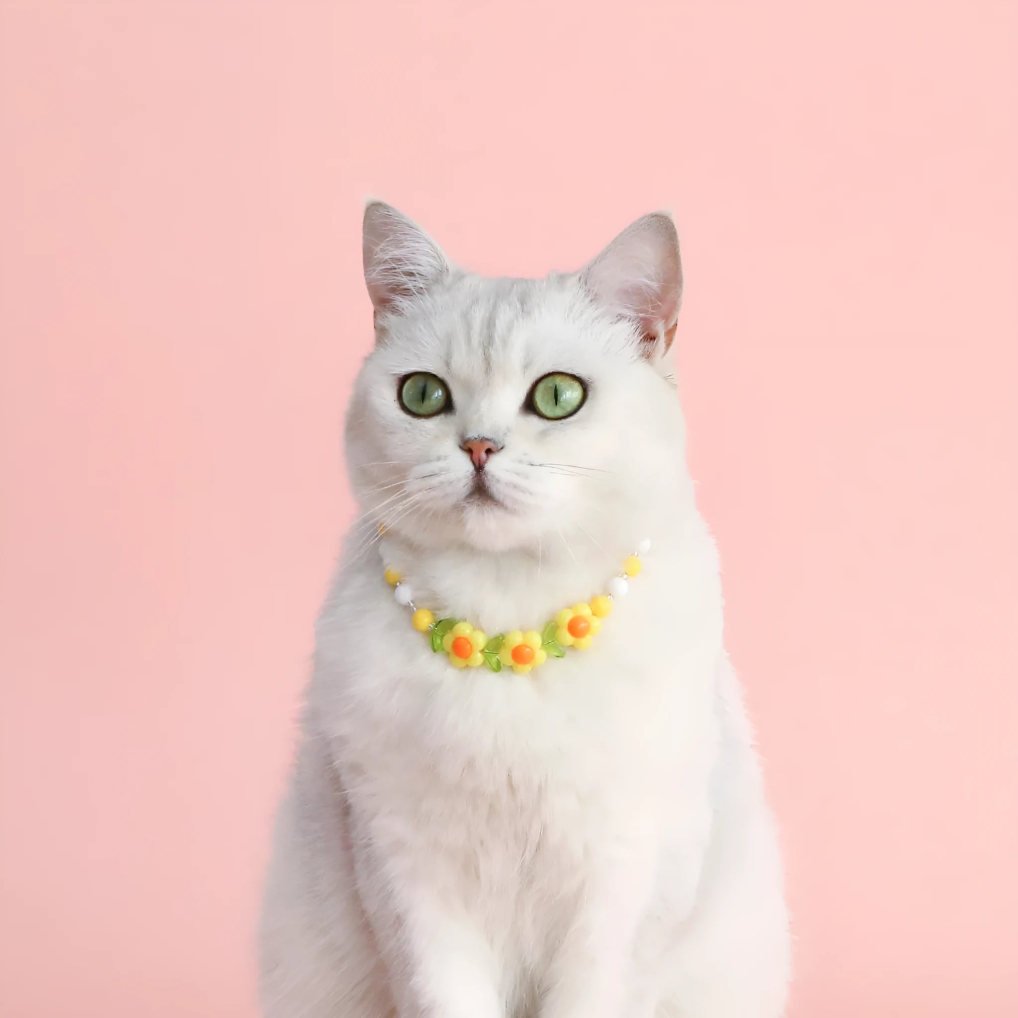 Colourful plastic bead pet necklace shown in peach, rainbow, and small flower patterns with an adjustable clasp.