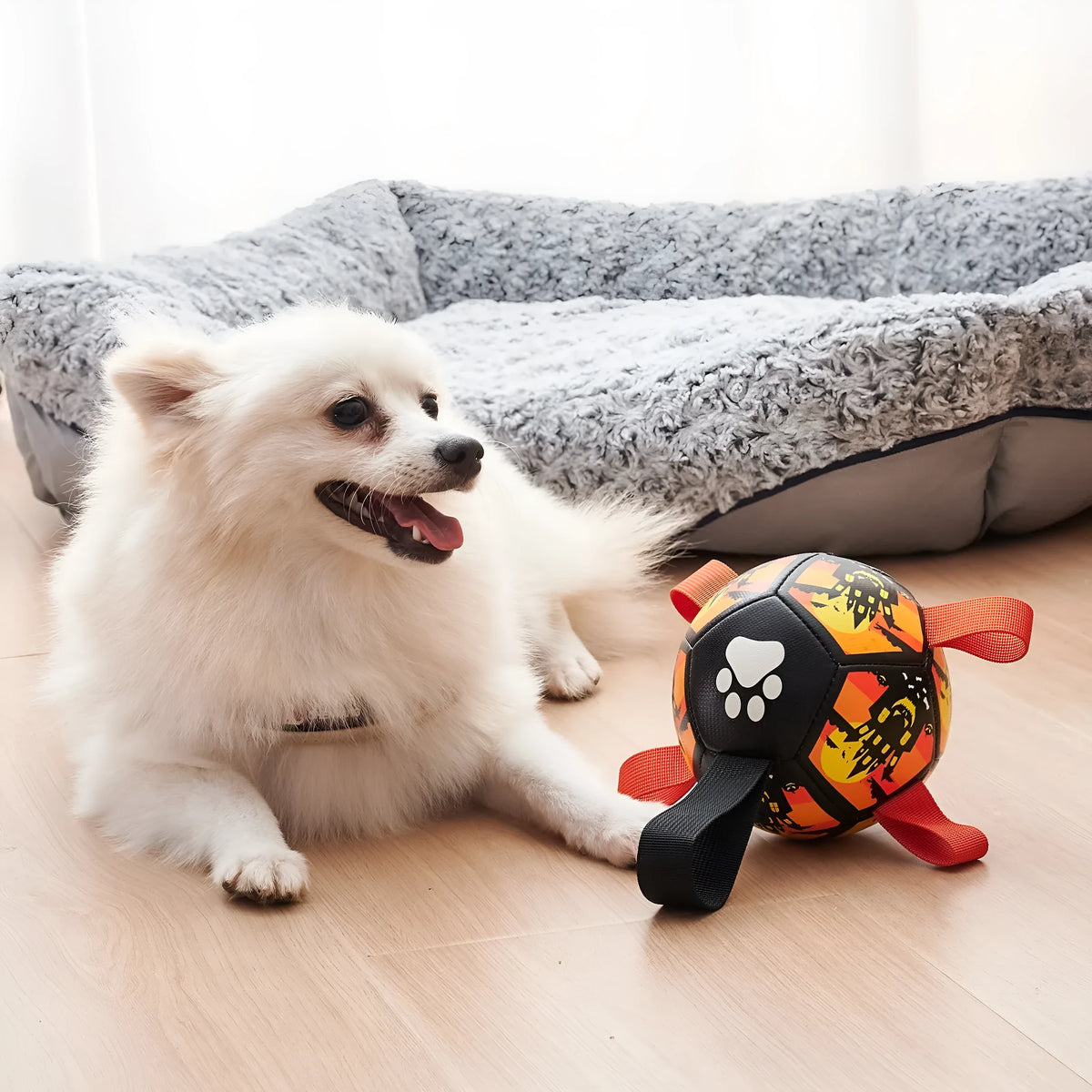 Dog soccer ball toy with straps in Christmas and Halloween colours for tug of war and water play