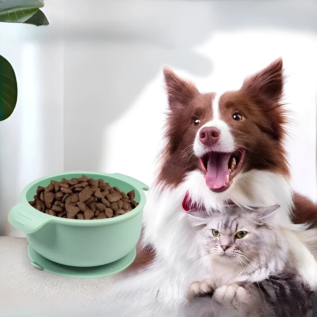 Flexible silicone pet bowl with suction cup base, shown in blue, folded flat next to a dog