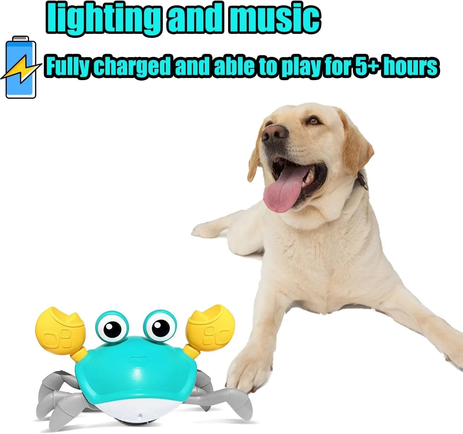Blue electronic crab dog toy with lights on a floor, demonstrating side-crawling movement.