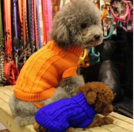 Knitted wool dog sweater with fabric buttons on a white background, shown in blue