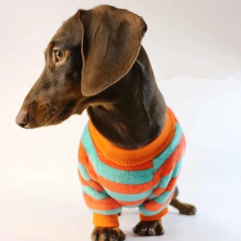 Orange red striped casual sweatshirt for dogs and cats with round neck in six sizes