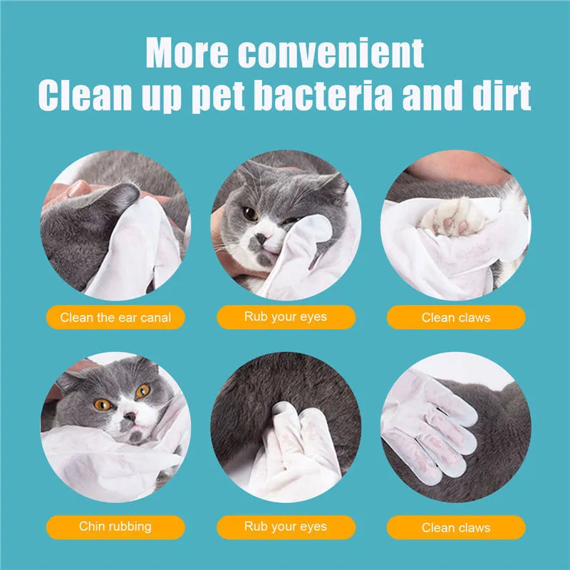 Pack of 6 pet disposable non-woven foil gloves for cat grooming without a bath