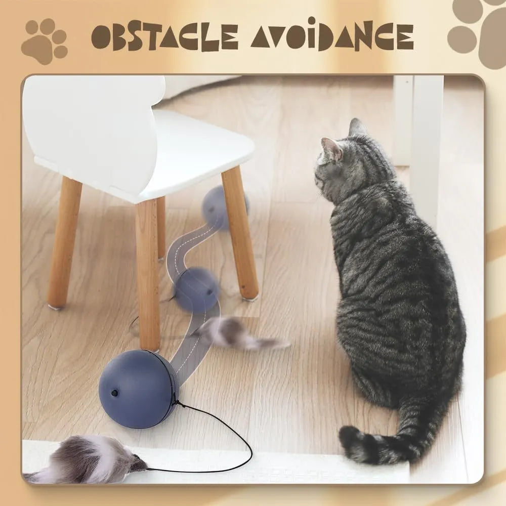 Blue orange and grey automatic rolling electric ball toy for cats and dogs on a hardwood floor