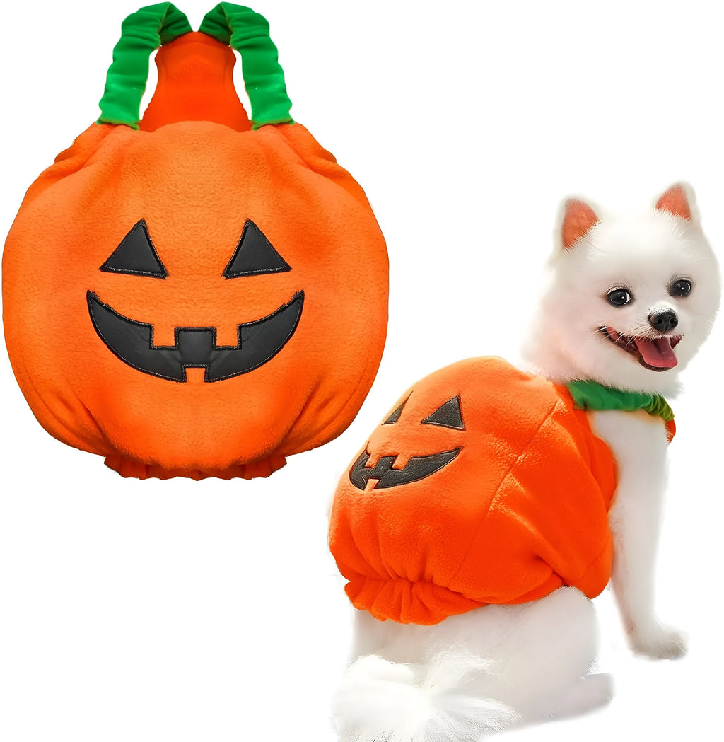 Orange pumpkin plush Halloween costume on small dog with pullover design and thickened shape