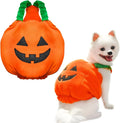 Orange pumpkin plush Halloween costume on small dog with pullover design and thickened shape