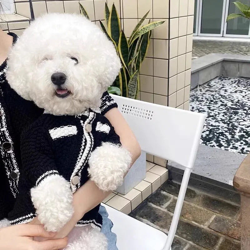 Korean style white dog sweater with pearl collar on a small dog, showing princess cut and lightweight polyester fabric.
