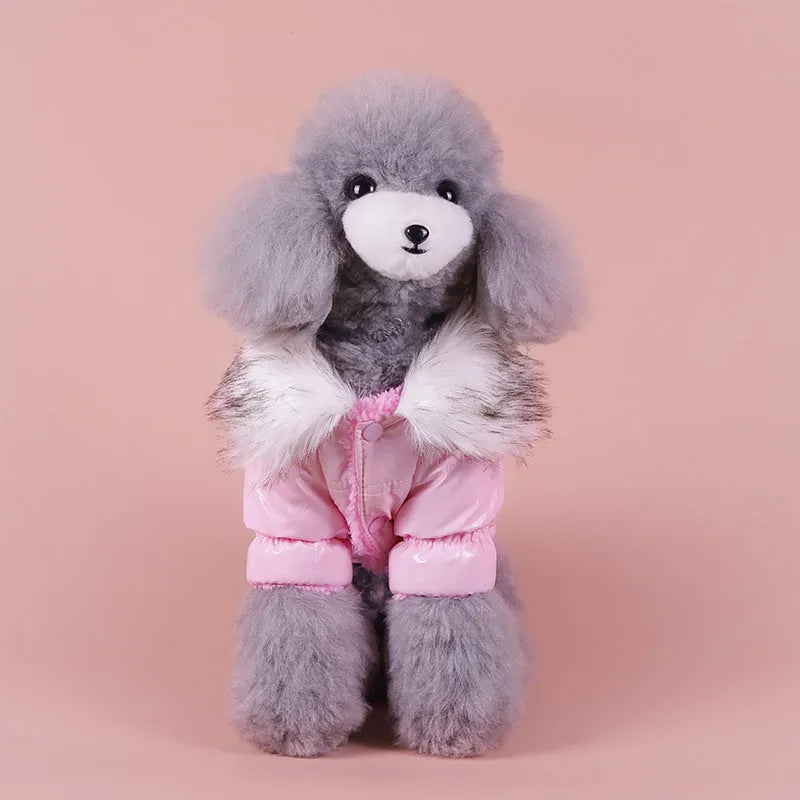 British-style blue cotton dog jacket for autumn and winter warmth on a pet