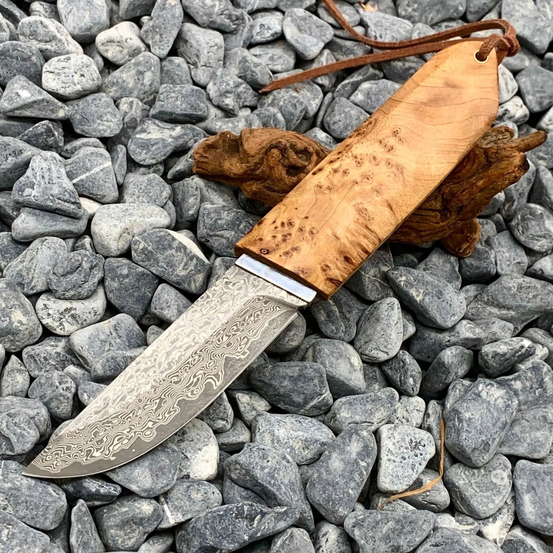 White Shadow Damascus pattern outdoor short knife with Thuja wood handle showing 18cm length