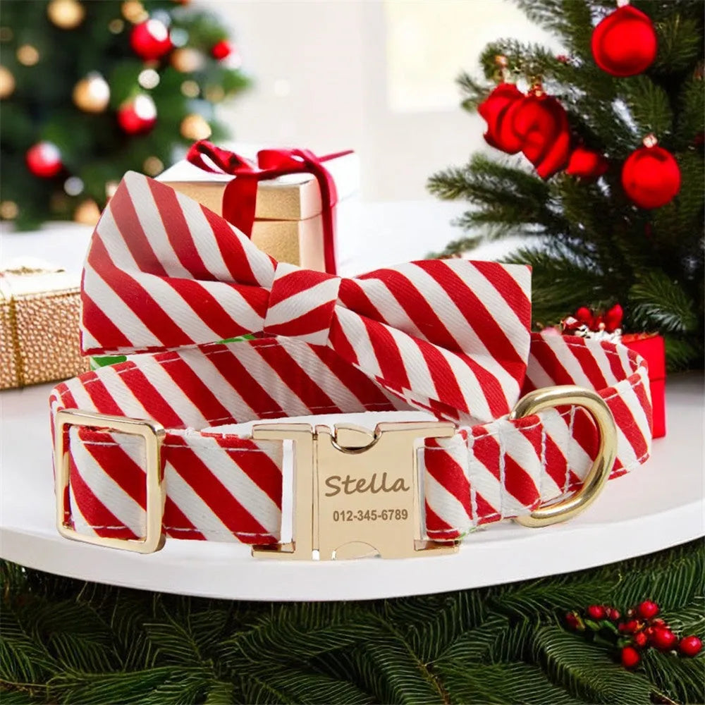Striped green dog collar with a red bow, showing engraving space and adjustable buckle.