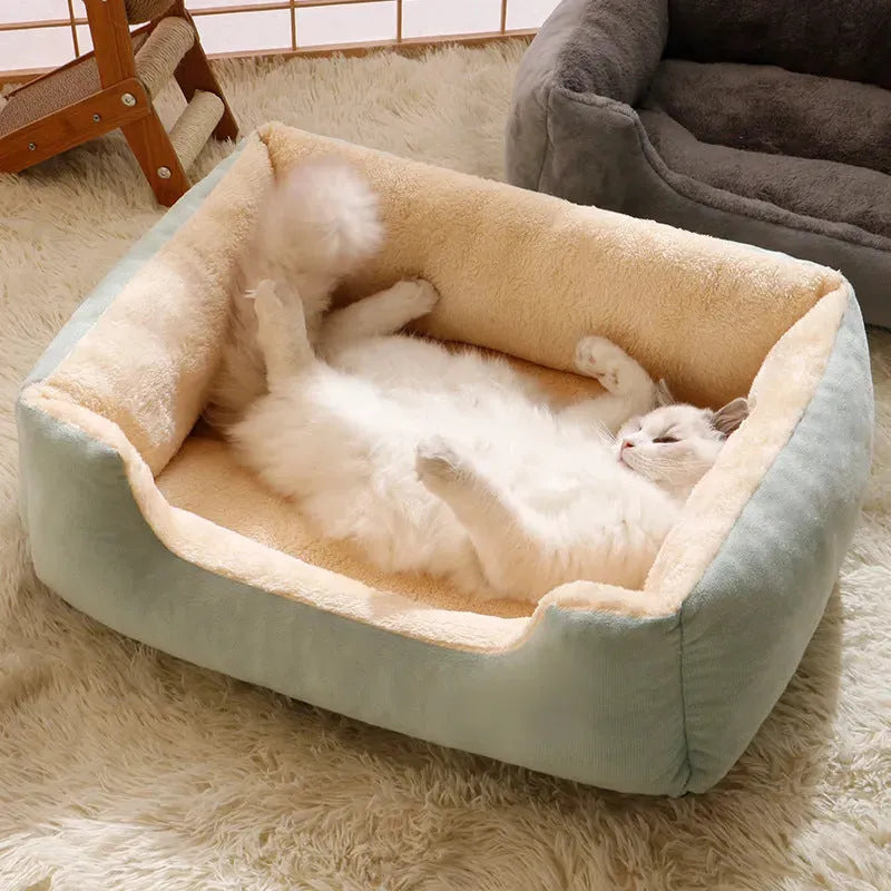 Soft grey short plush cat bed for a sleeping kitten