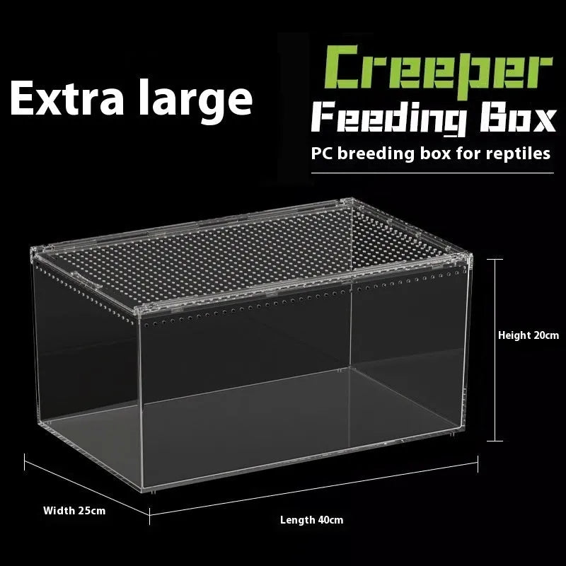Transparent acrylic reptile feeding box showing PC construction and size options