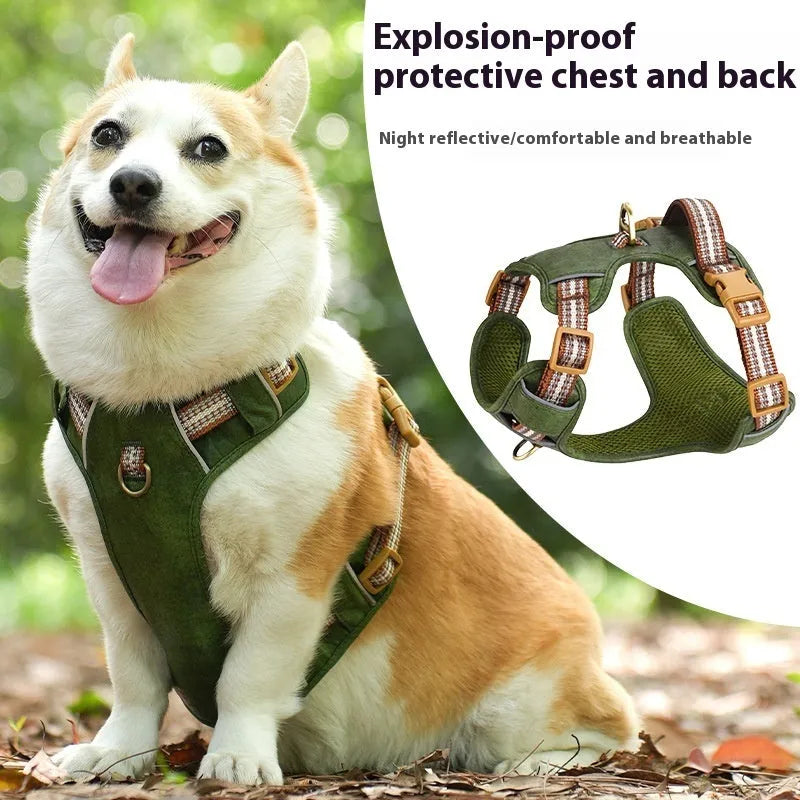 Brown leather dog harness with reflective strips showing buckle closure and adjustable chest strap