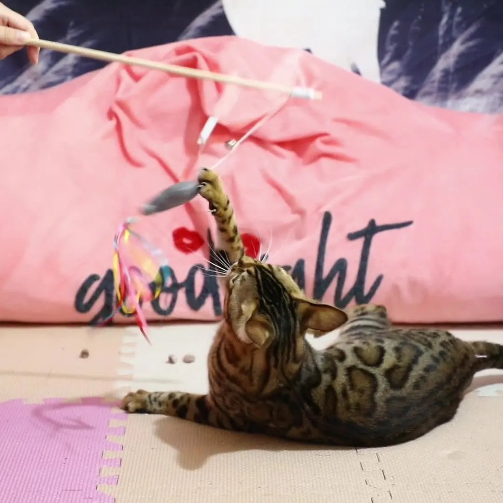 Wooden-handle cat wand toy with colourful ribbons, catnip fish, and bell for interactive indoor play
