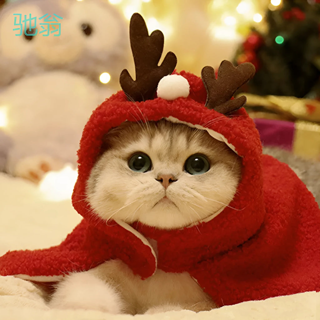 Dog wearing red antlers winter hat with matching polar fleece cloak