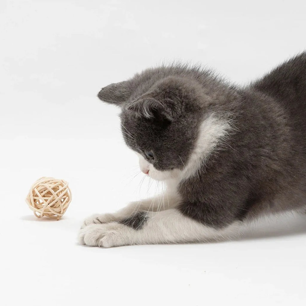 Two cat toys: hollow rattan ball with bell and faux feather ball in primary colours