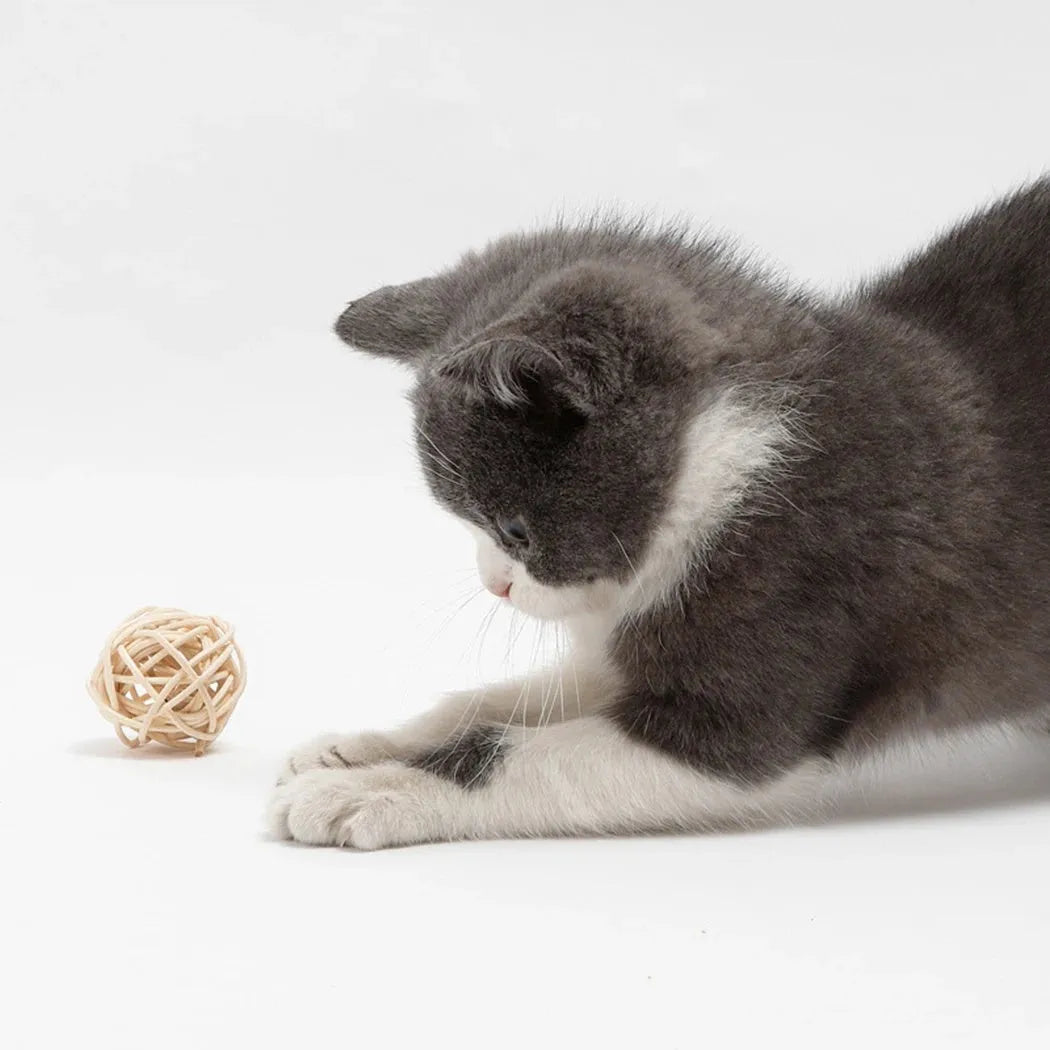 Two cat toys: hollow rattan ball with bell and faux feather ball in primary colours