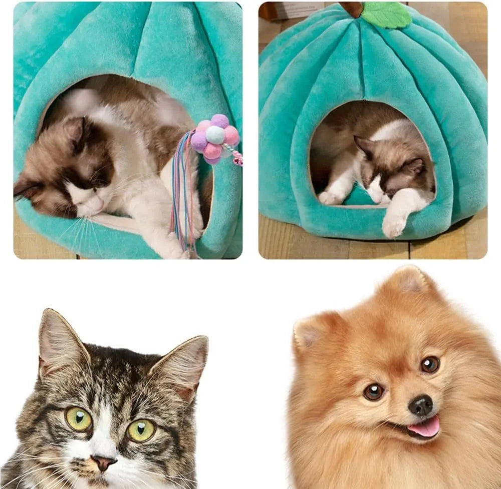 Pumpkin-shaped cat bed in blue with semi-enclosed cave design and removable interior mat