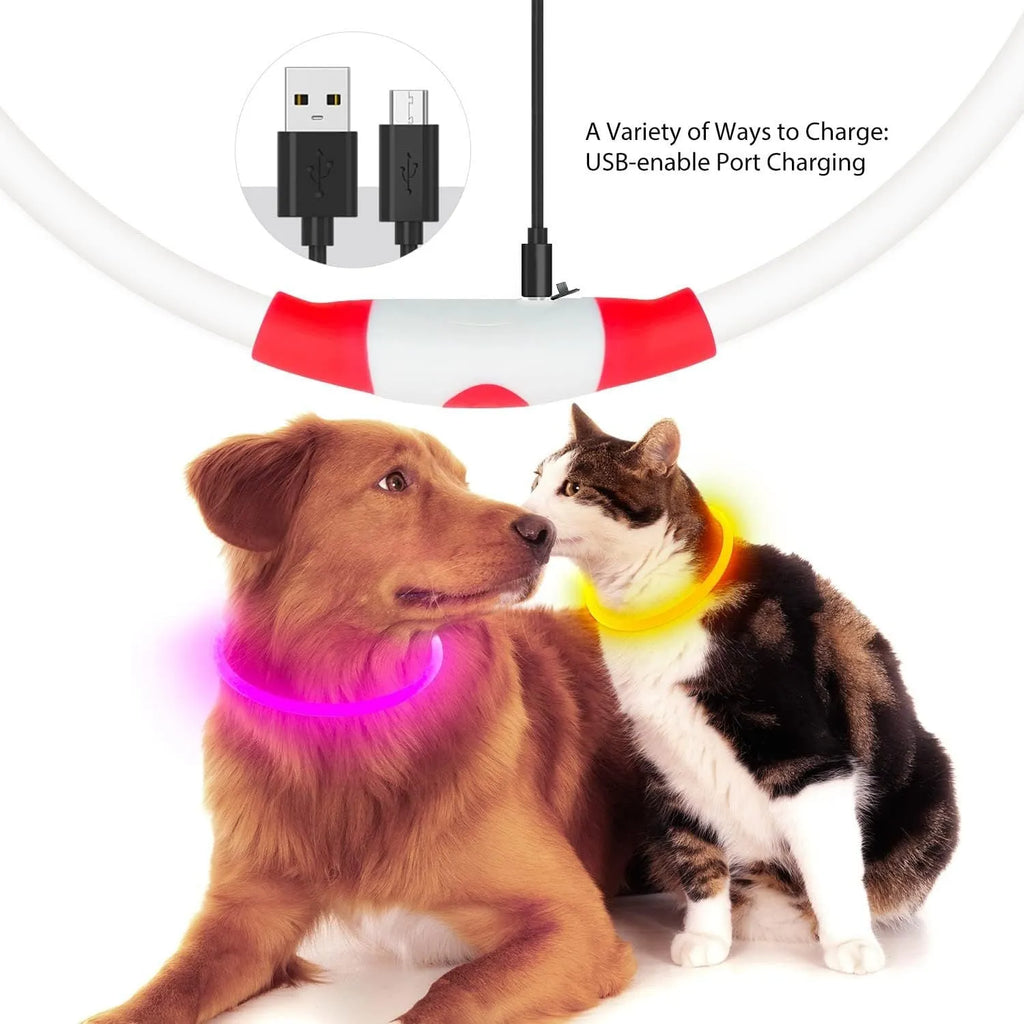 Blue rechargeable LED dog collar glowing around a dog's neck on a dark background.