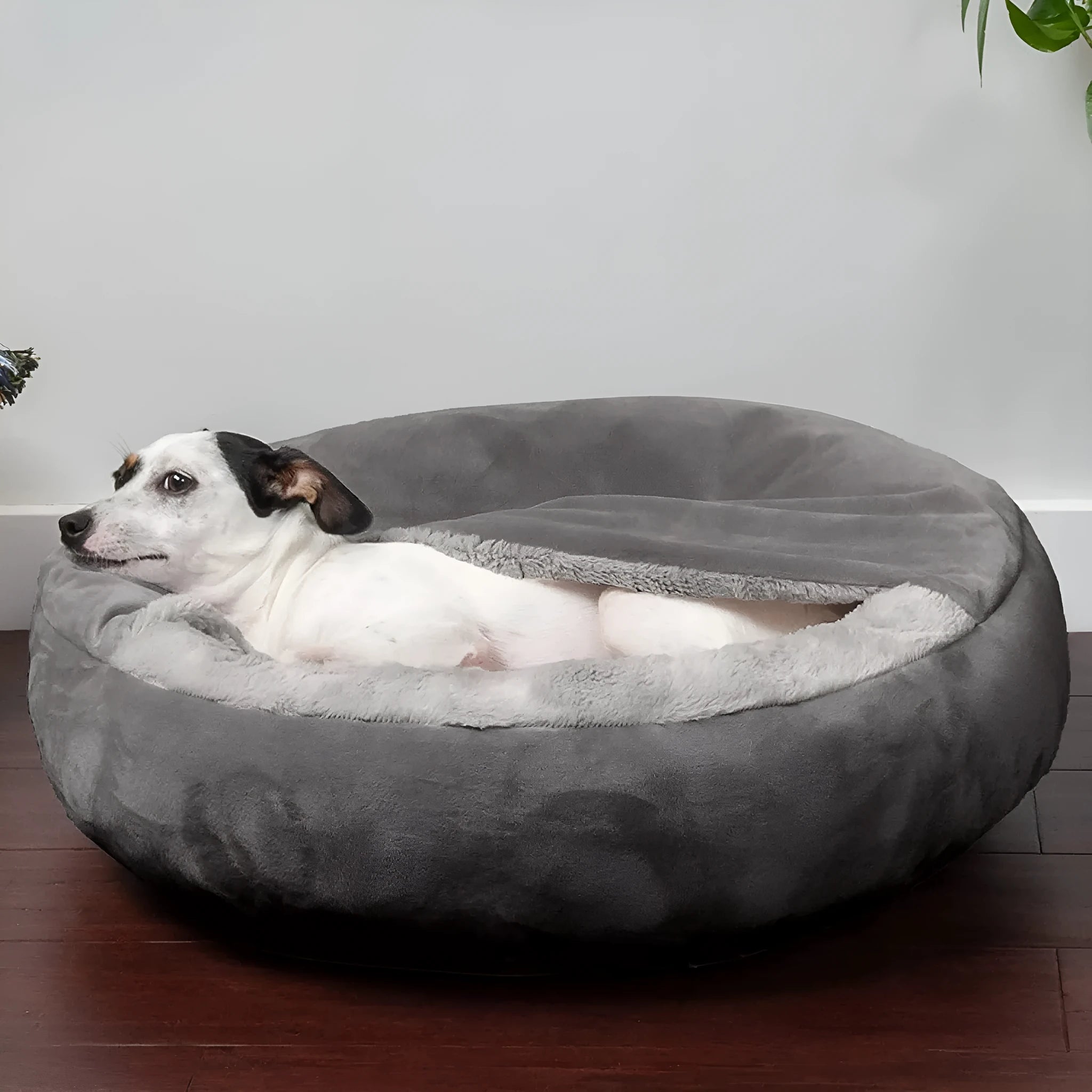 Grey beige teddy pet bed for small to medium dogs on floor
