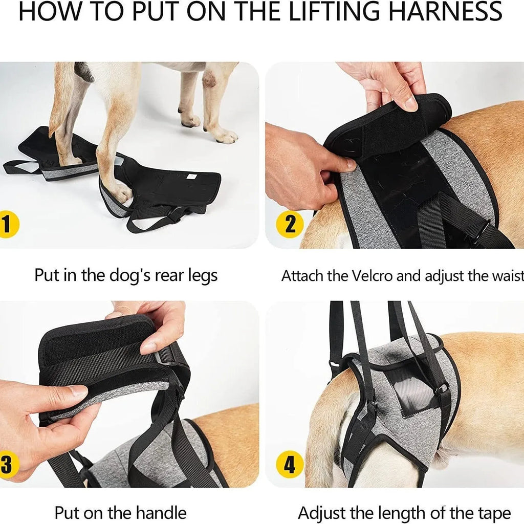 Grey neoprene dog hind leg recovery support belt shown on size chart
