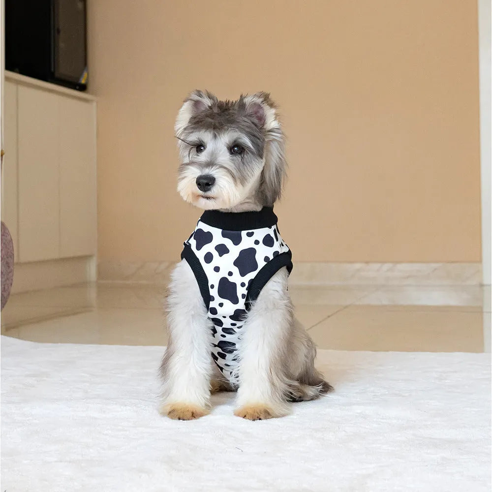 Universal pet recovery suit in black, side view showing snug fit for dogs and cats
