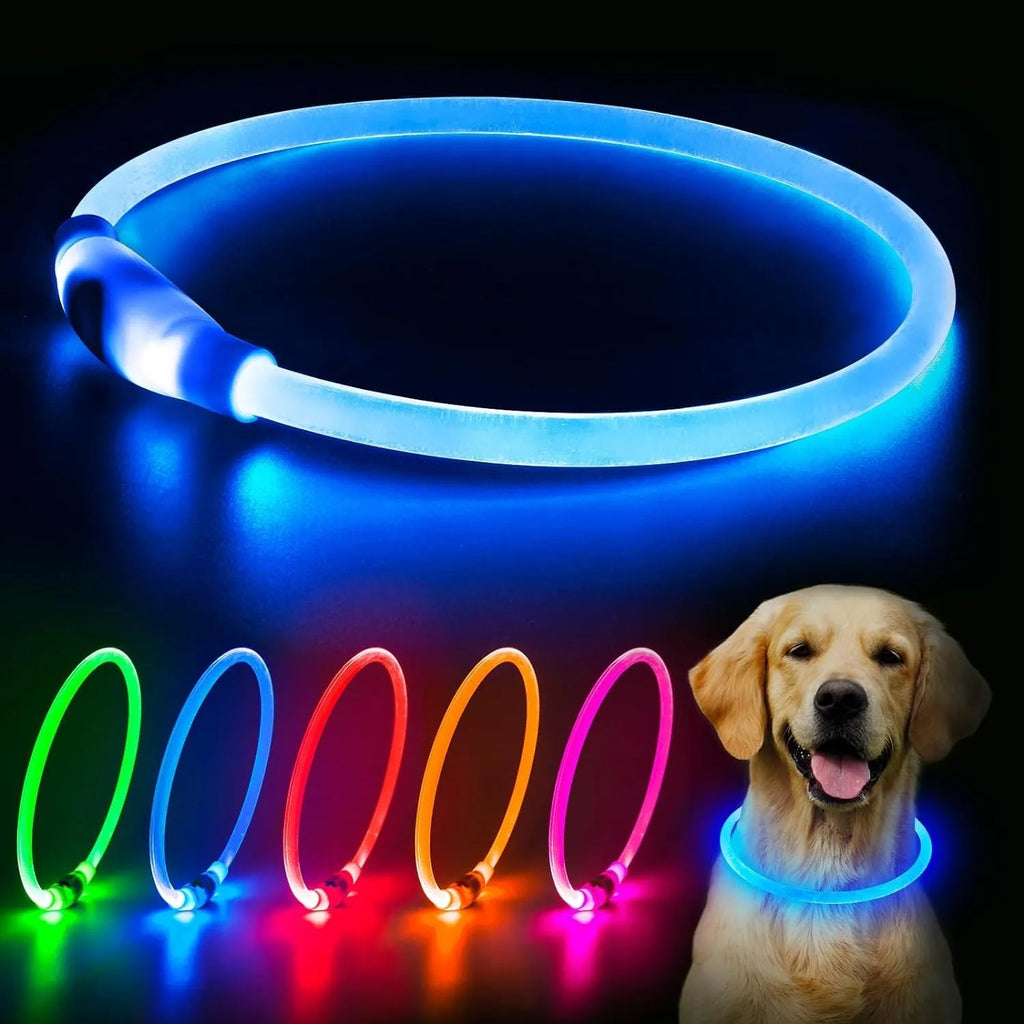 Blue rechargeable LED dog collar glowing around a dog's neck on a dark background.