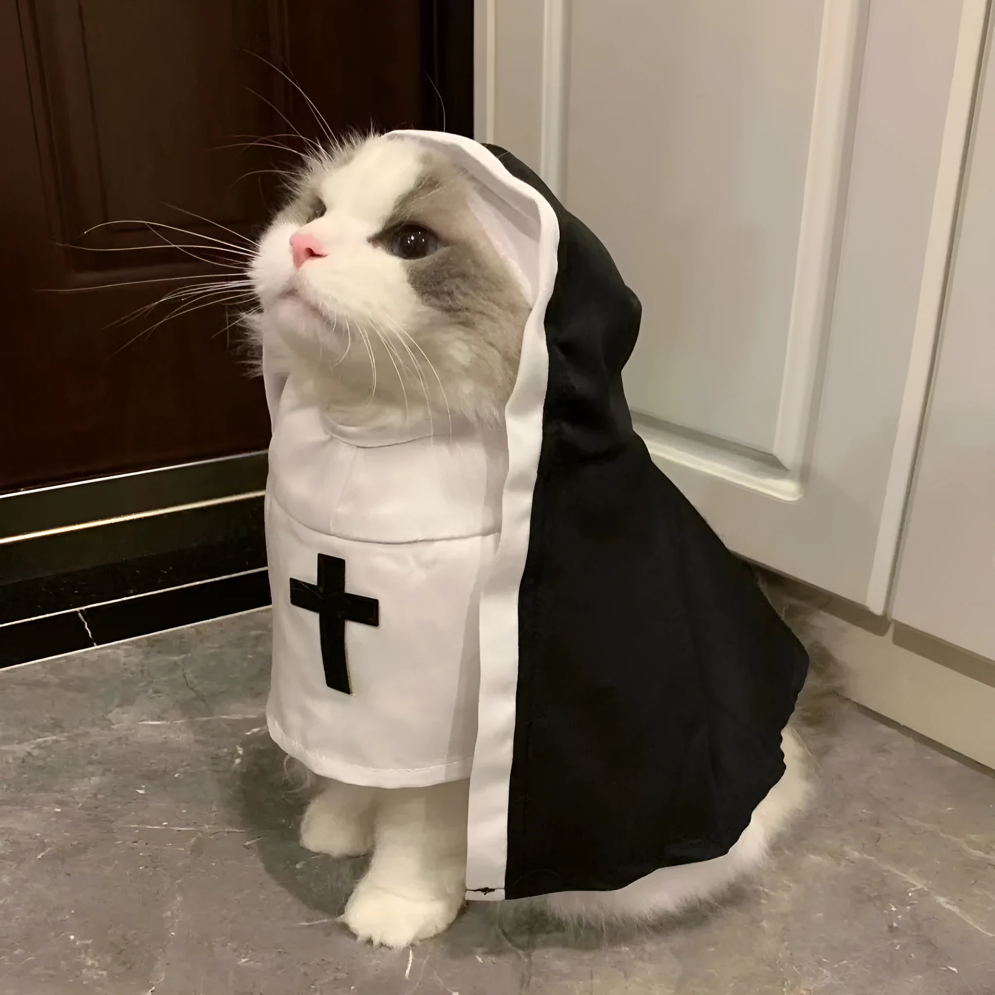Black and white nun costume for small medium dogs with cloak design