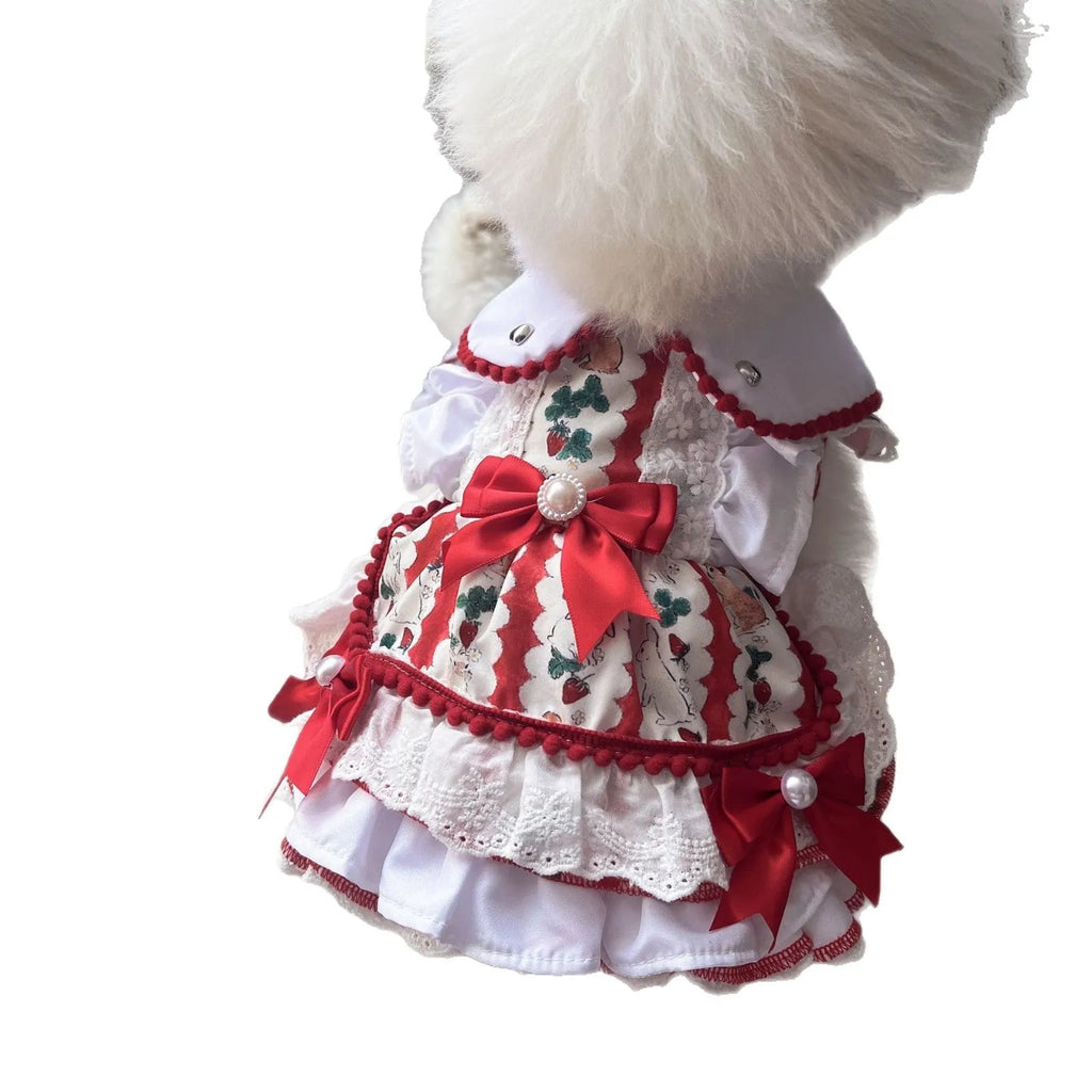 Small white dog wearing a rabbit-style skirt, showing the princess cut and fit based on detailed size chart measurements.