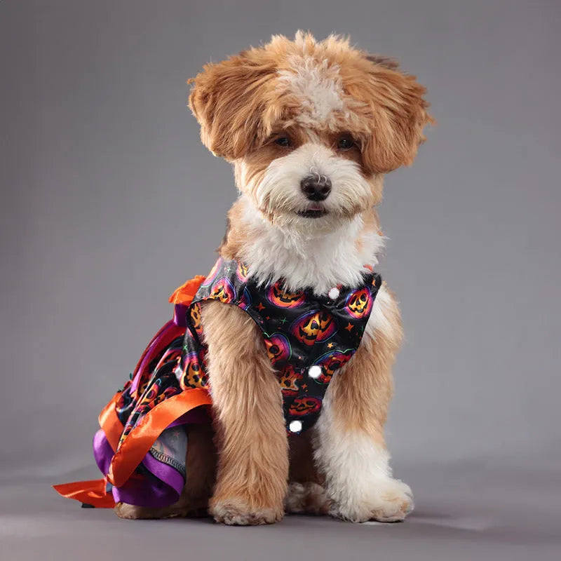 Halloween pet skirt for dogs with double-layer design and colourful pumpkin print.