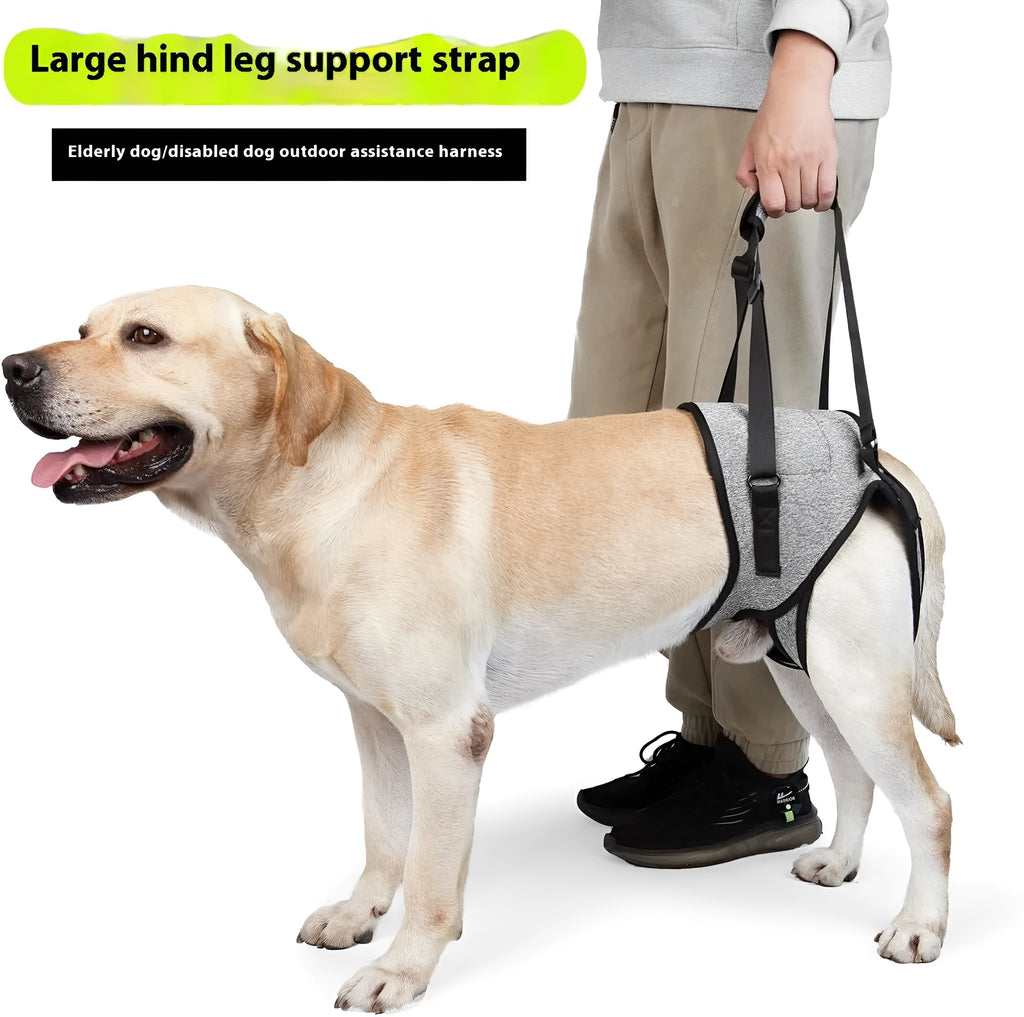 Grey neoprene dog hind leg recovery support belt shown on size chart