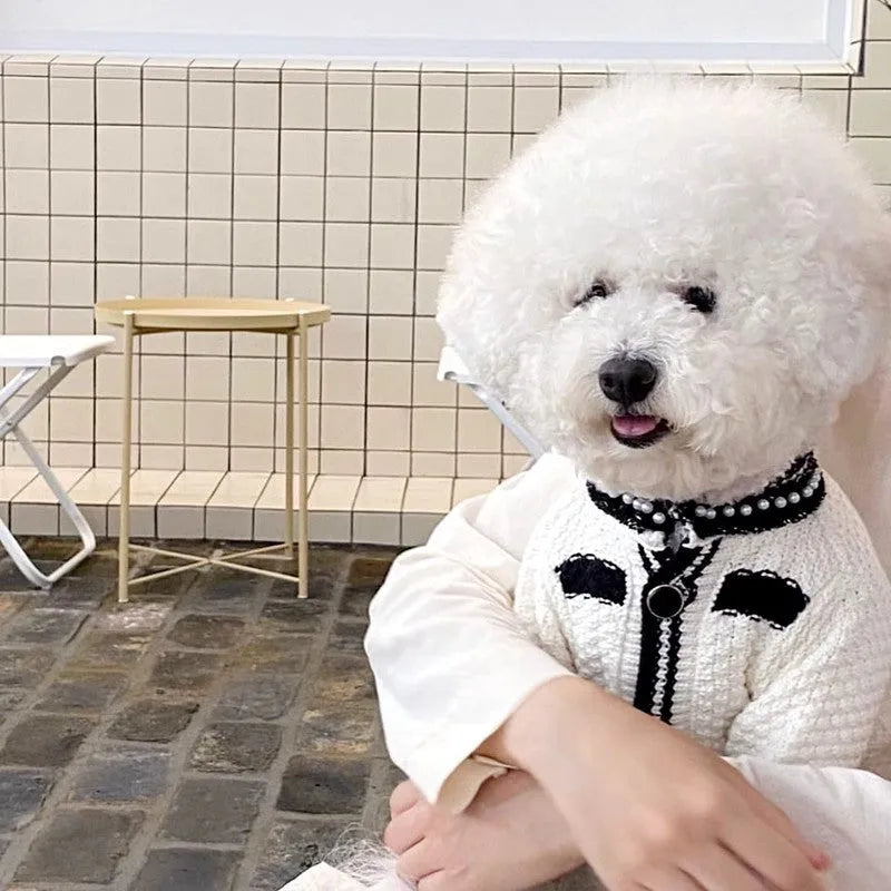 Korean style white dog sweater with pearl collar on a small dog, showing princess cut and lightweight polyester fabric.
