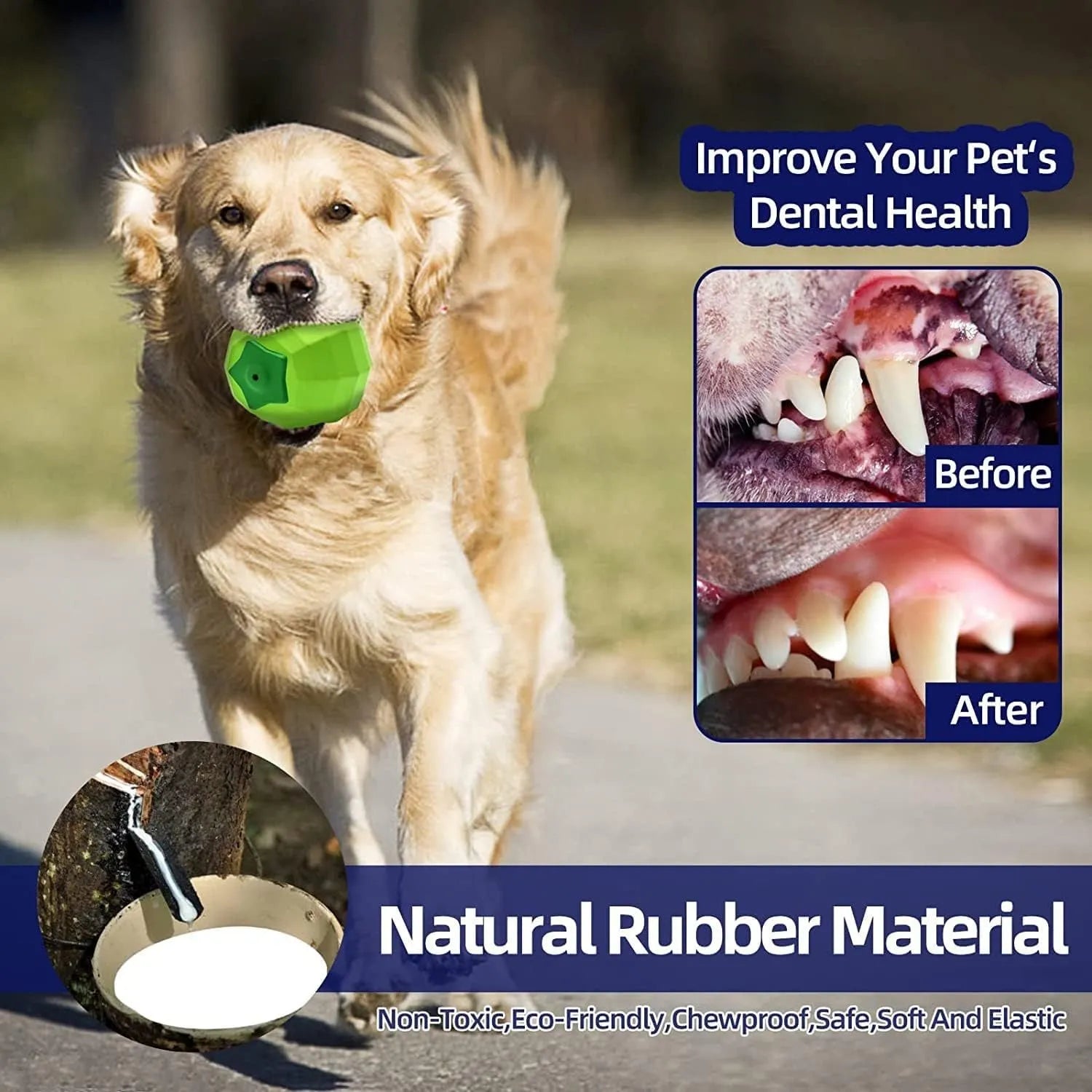 Green beef-flavoured natural rubber squeaky ball dog toy for large breed chewing.