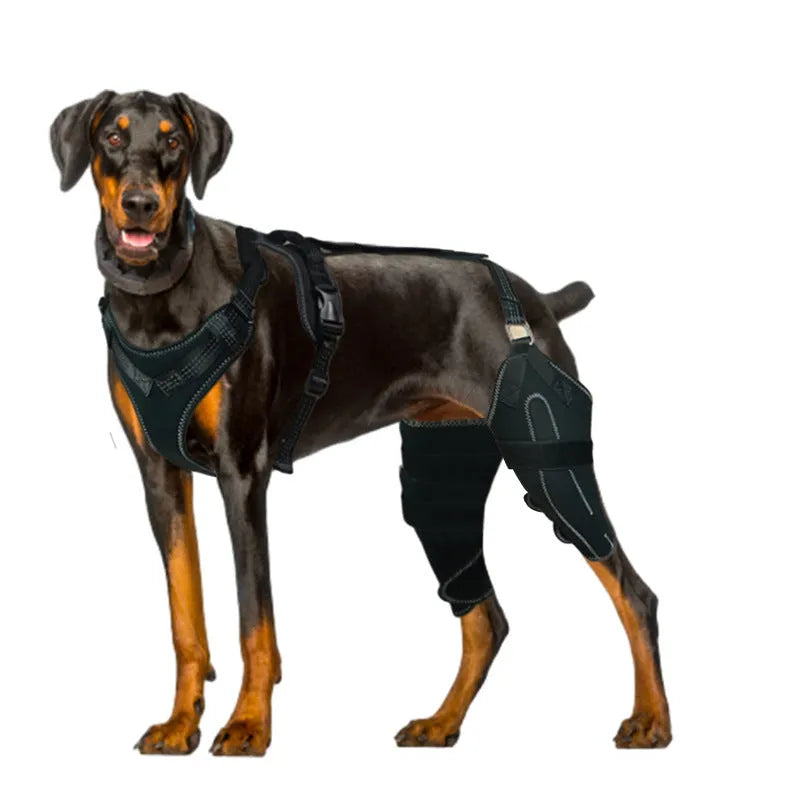 Black dog thigh protective sleeve with adjustable metal support for postoperative recovery