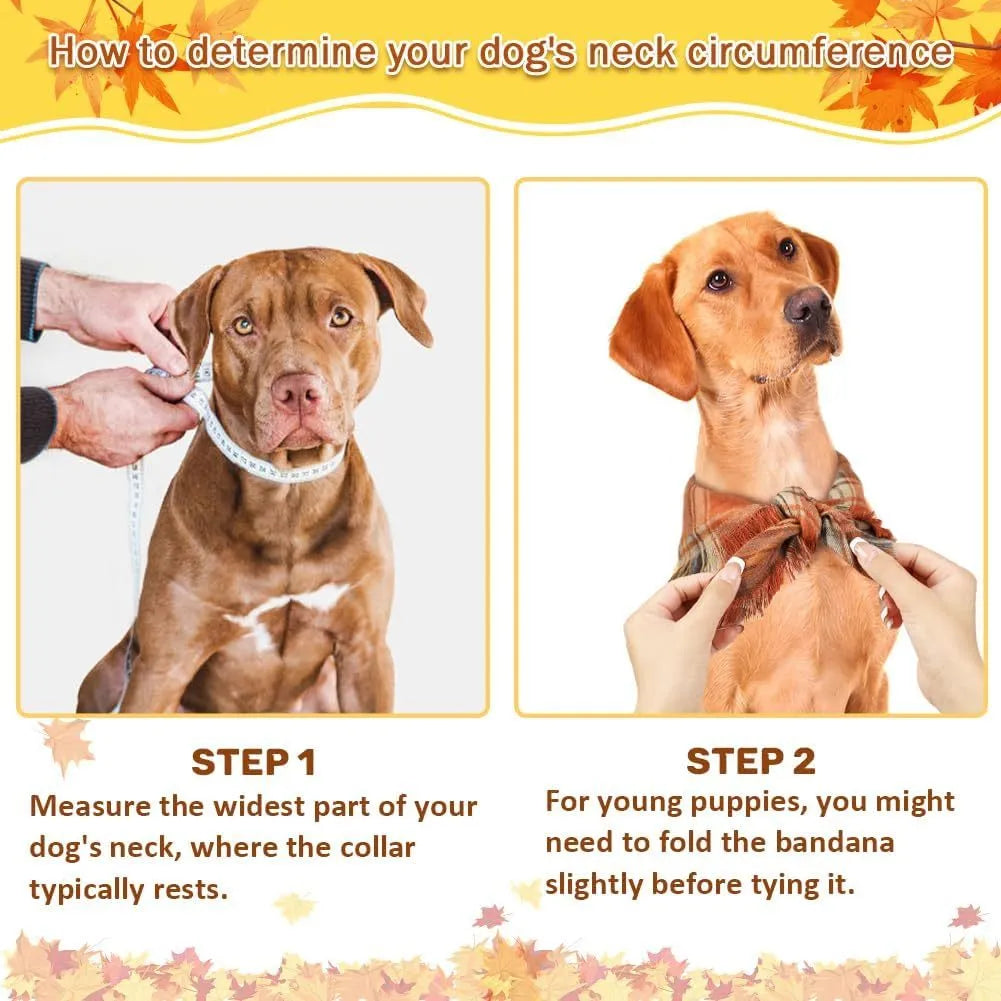 Plaid triangle dog bandana with tassels in autumn colours like orange and brown