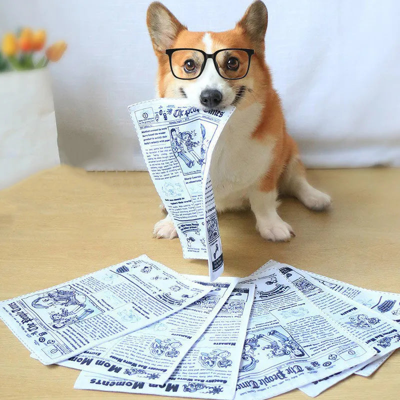 Tearproof dog toy with playing card design featuring simulated newspaper squeak sound mechanism