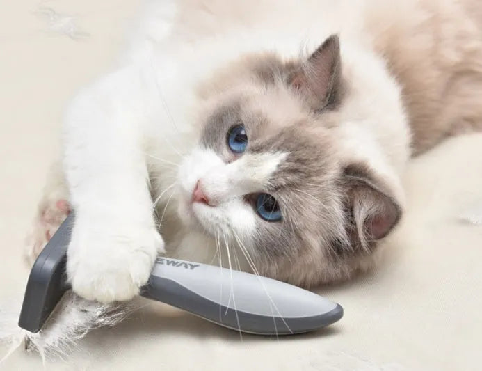 Grey plastic pet comb for cats and dogs, general grooming brush for detangling and deshedding