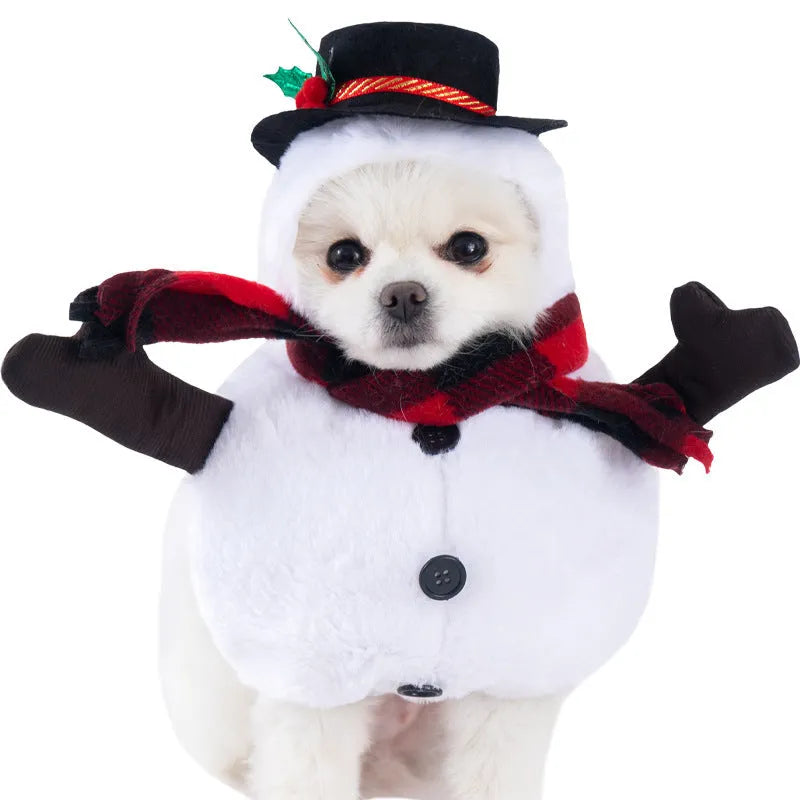 Halloween dog costume with bat wings, devil, pumpkin and scissor hand design options