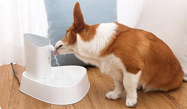 Pet dog and cat water dispenser with 1.8L capacity, quadruple filtration, and silent pump in white