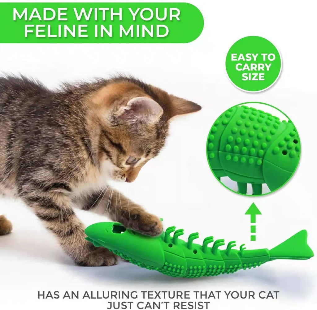 Blue hard rubber catnip toy with textured surface for feline teeth cleaning